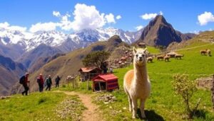 Peru Activities and tours